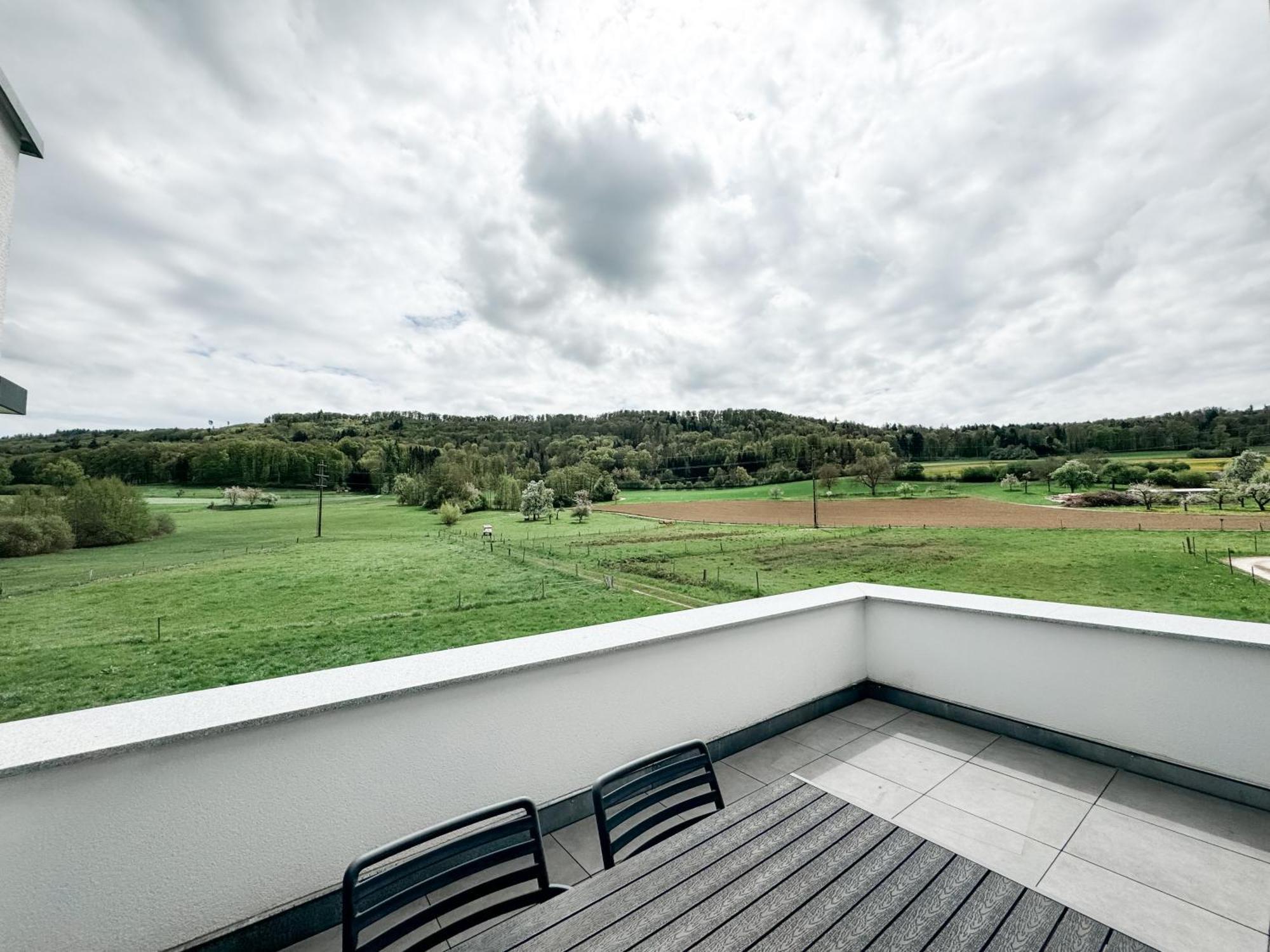 Wunderschoene Helle Wohnung Mit Grosser Dachterrasse Gottmadingen Esterno foto